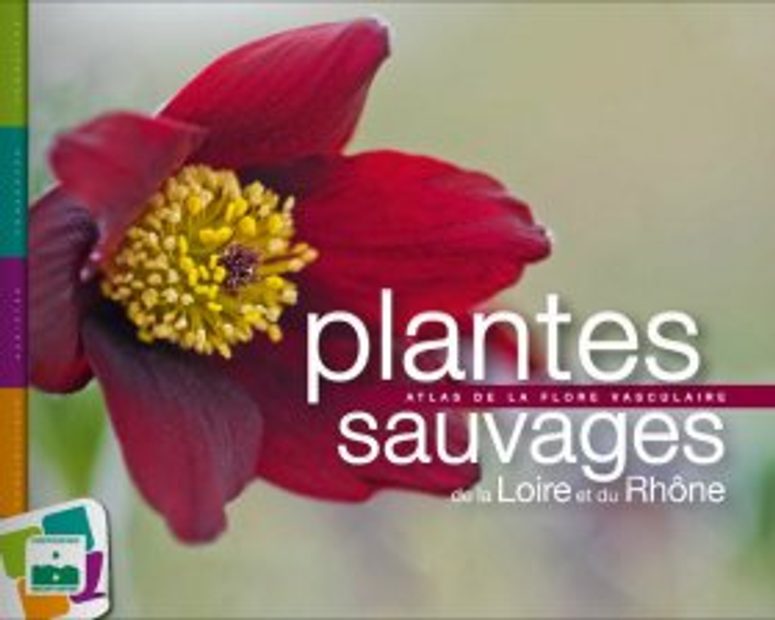 Plantes Sauvages de la Loire et du Rhône