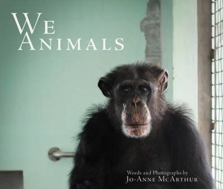 We Animals