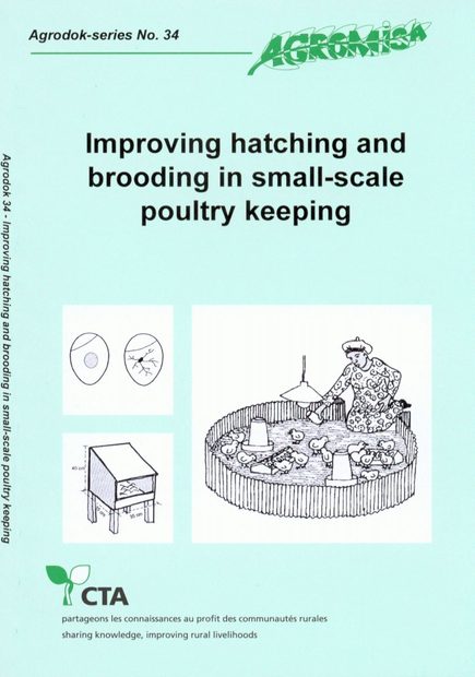 Improving Hatching and Brooding in Small-Scale Poultry Keeping