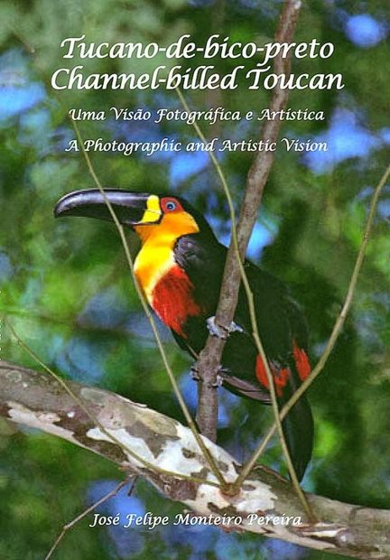 Channel-billed Toucan / Tucano-de-bico-preto 