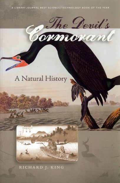 The Devil's Cormorant