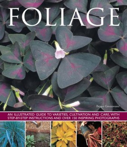 Foliage: An Illustrated Guide to Varieties, Cultivation and Care