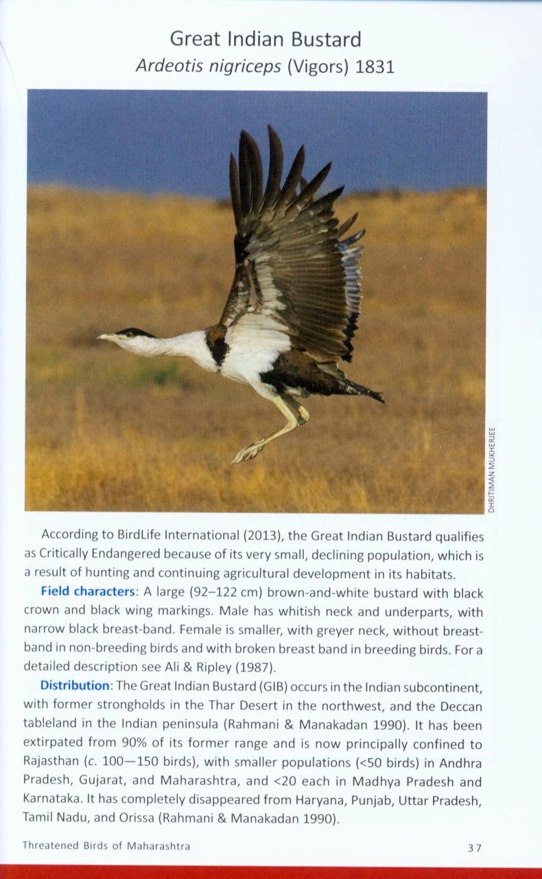 Threatened Birds of Maharashtra | NHBS Academic & Professional Books