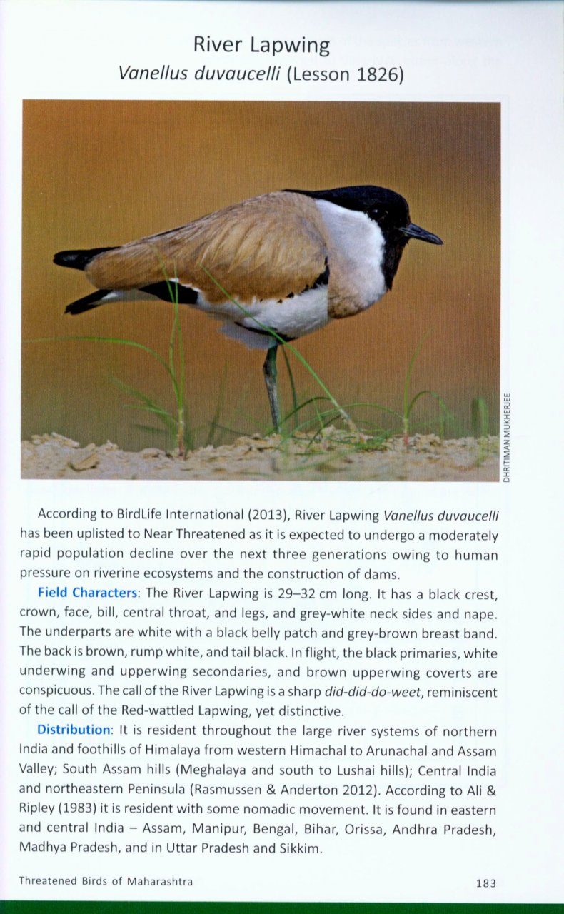 Threatened Birds of Maharashtra | NHBS Academic & Professional Books