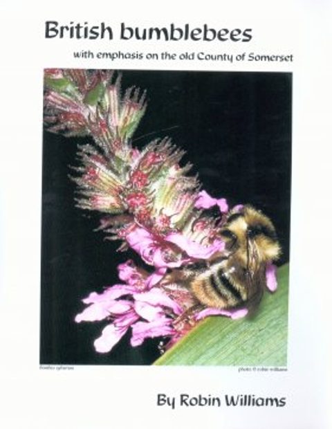 British Bumblebees