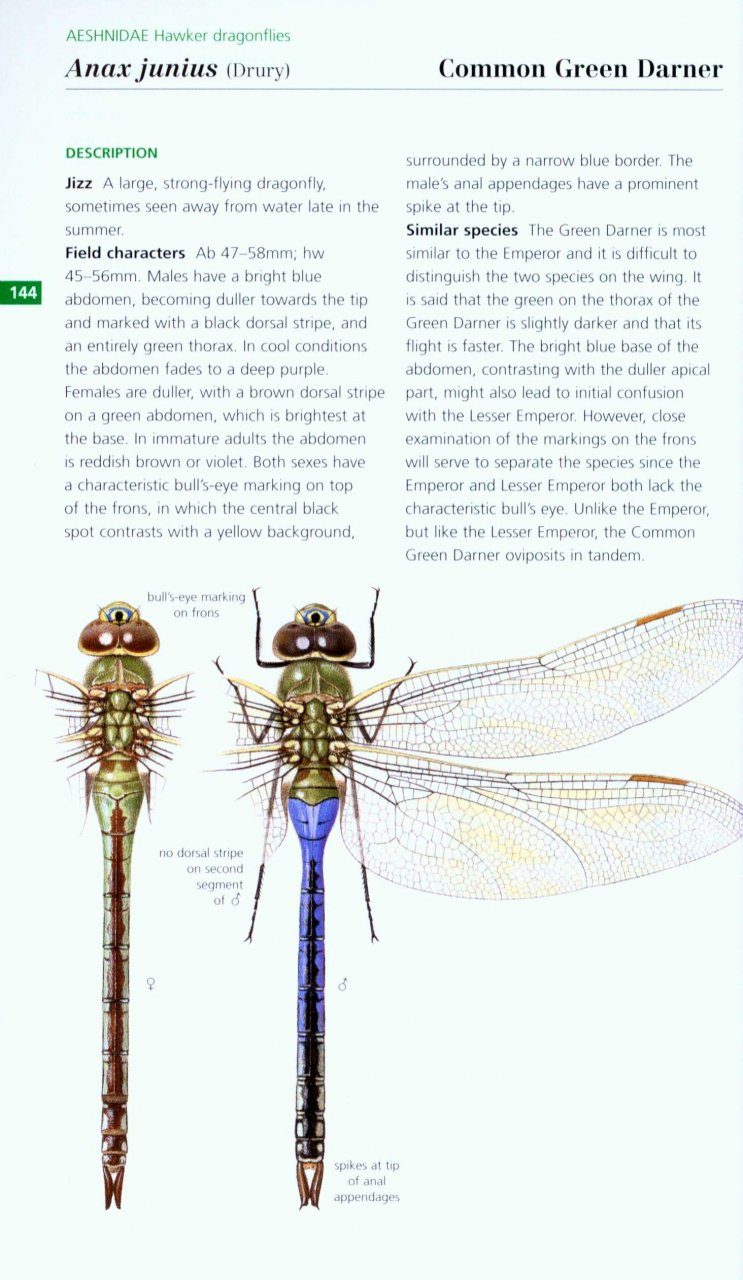 Field Guide To The Dragonflies Amp Damselflies Of Great