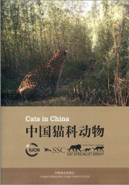 Cats in China [English / Chinese]
