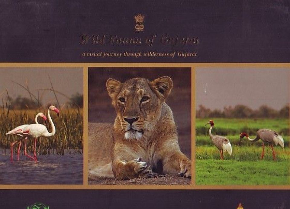 Wild Fauna of Gujarat: A Visual Journey Through Wilderness of Gujarat |  NHBS Academic & Professional Books