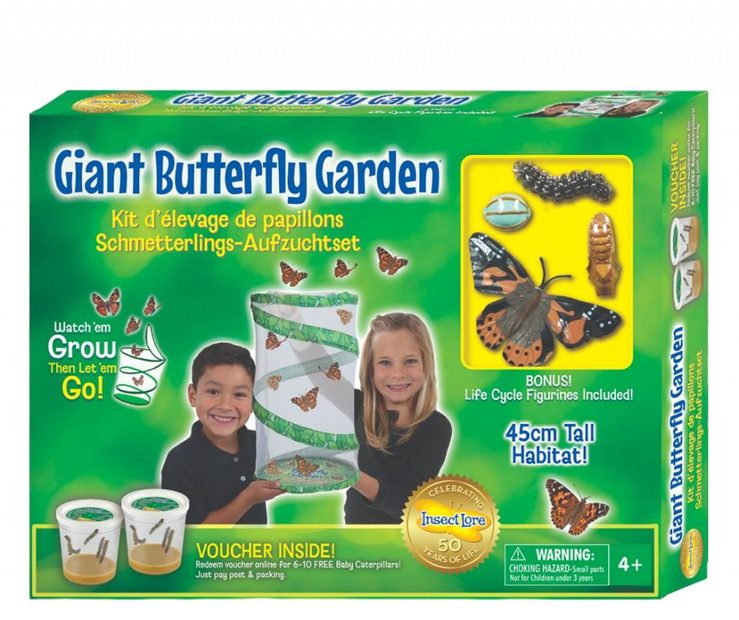 Giant Butterfly Garden 