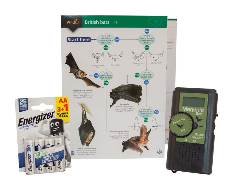 Beginners Bat Detecting Kit