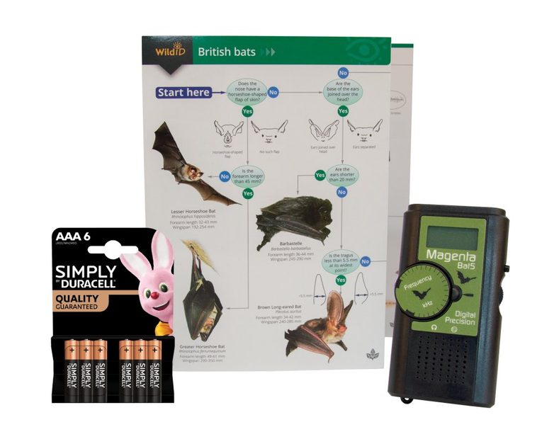 Beginners Bat Detecting Kit