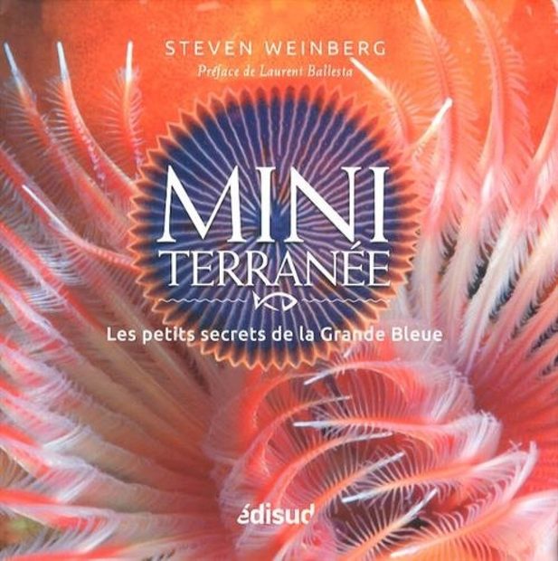 Miniterranée: Les Petits Secrets de la Grande Bleue