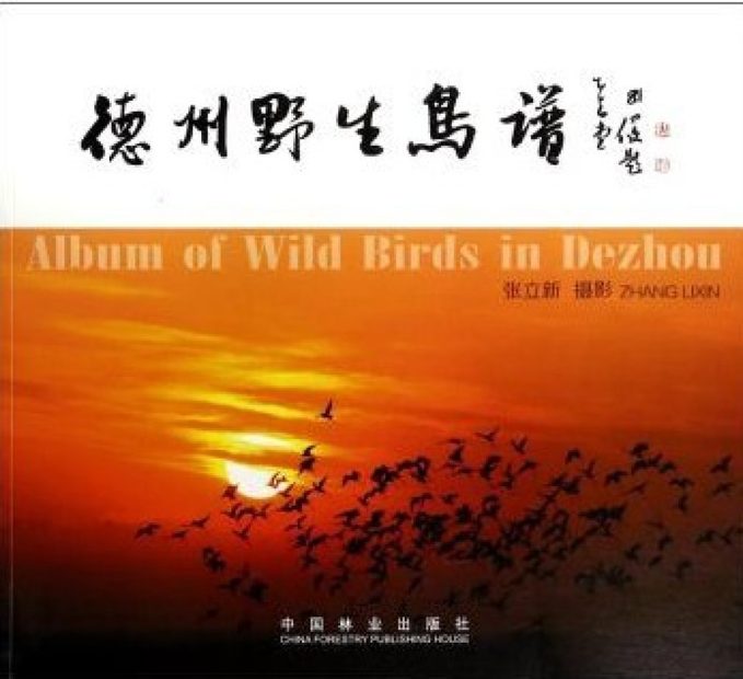 Album of Wild Birds in Dezhou [Chinese]