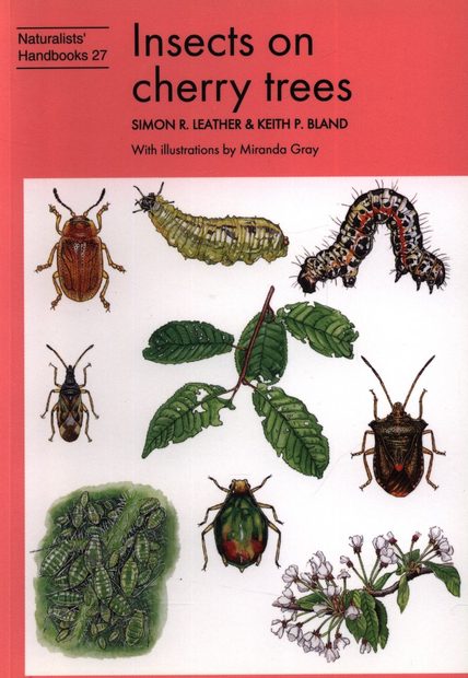 Insects on Cherry Trees