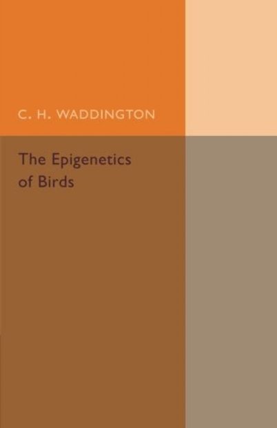 The Epigenetics of Birds