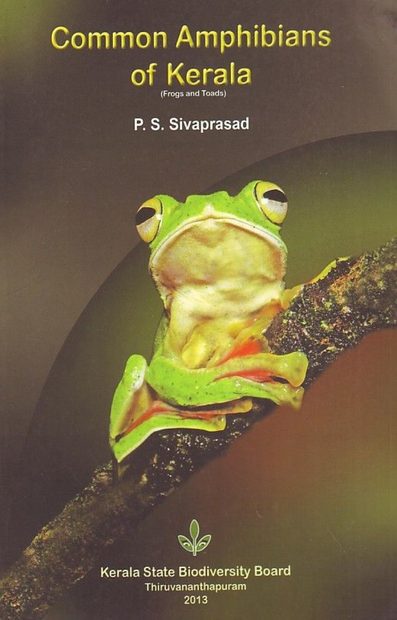 Common Amphibians of Kerala