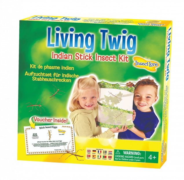 Living Twig Stick Insect Kit