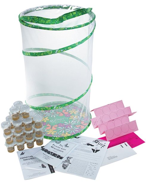 Butterfly Garden School Kit