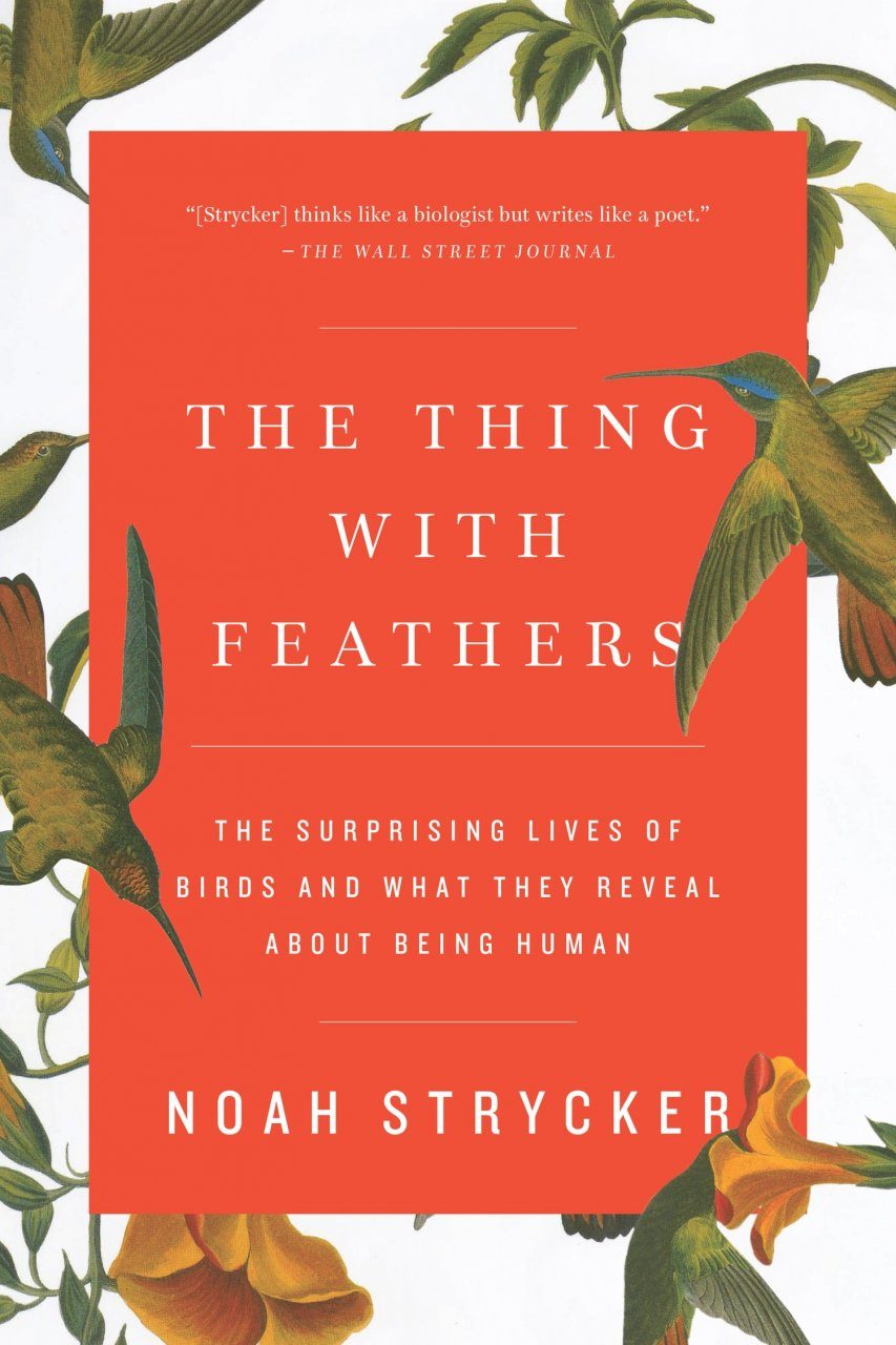 The Thing With Feathers Nhbs Academic And Professional Books 