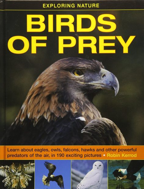 Birds of Prey