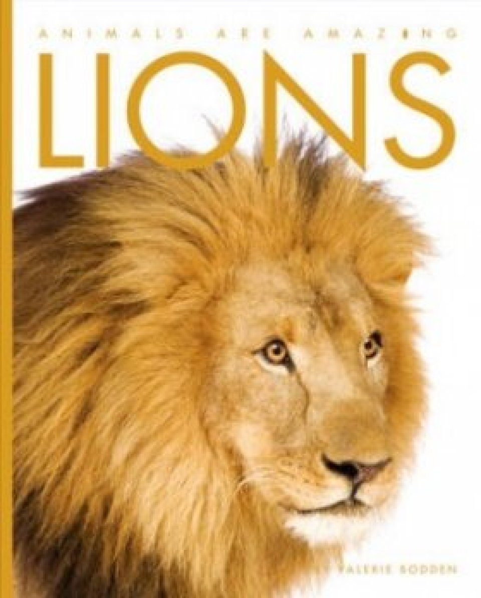 Lions | NHBS Academic &amp; Professional Books