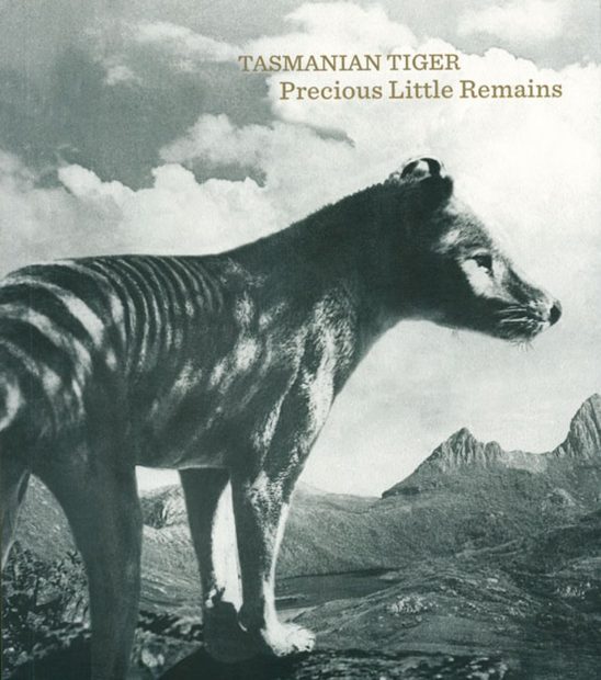 Tasmanian Tiger