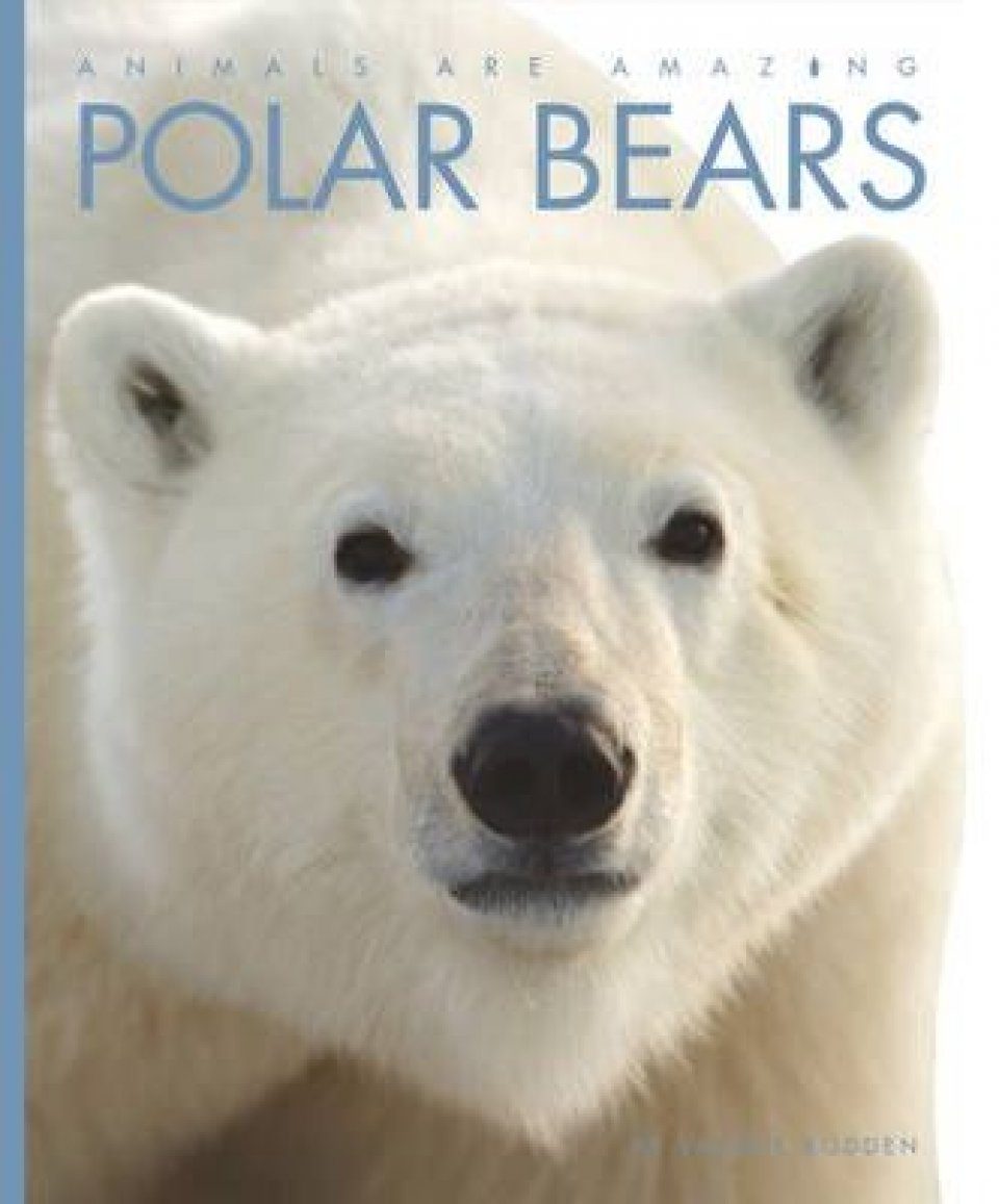 Polar Bears | NHBS Academic & Professional Books