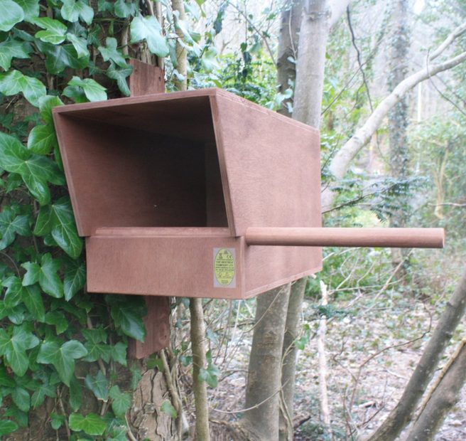 Kestrel Nest Box