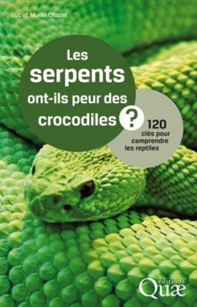 Les Serpents ont-ils Peur des Crocodiles?