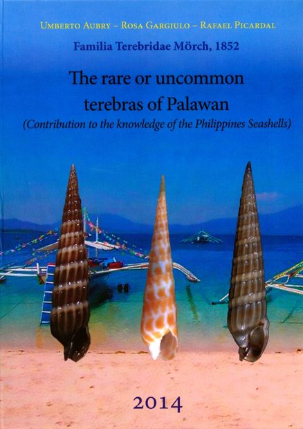 The Rare or Uncommon Terebras of Palawan
