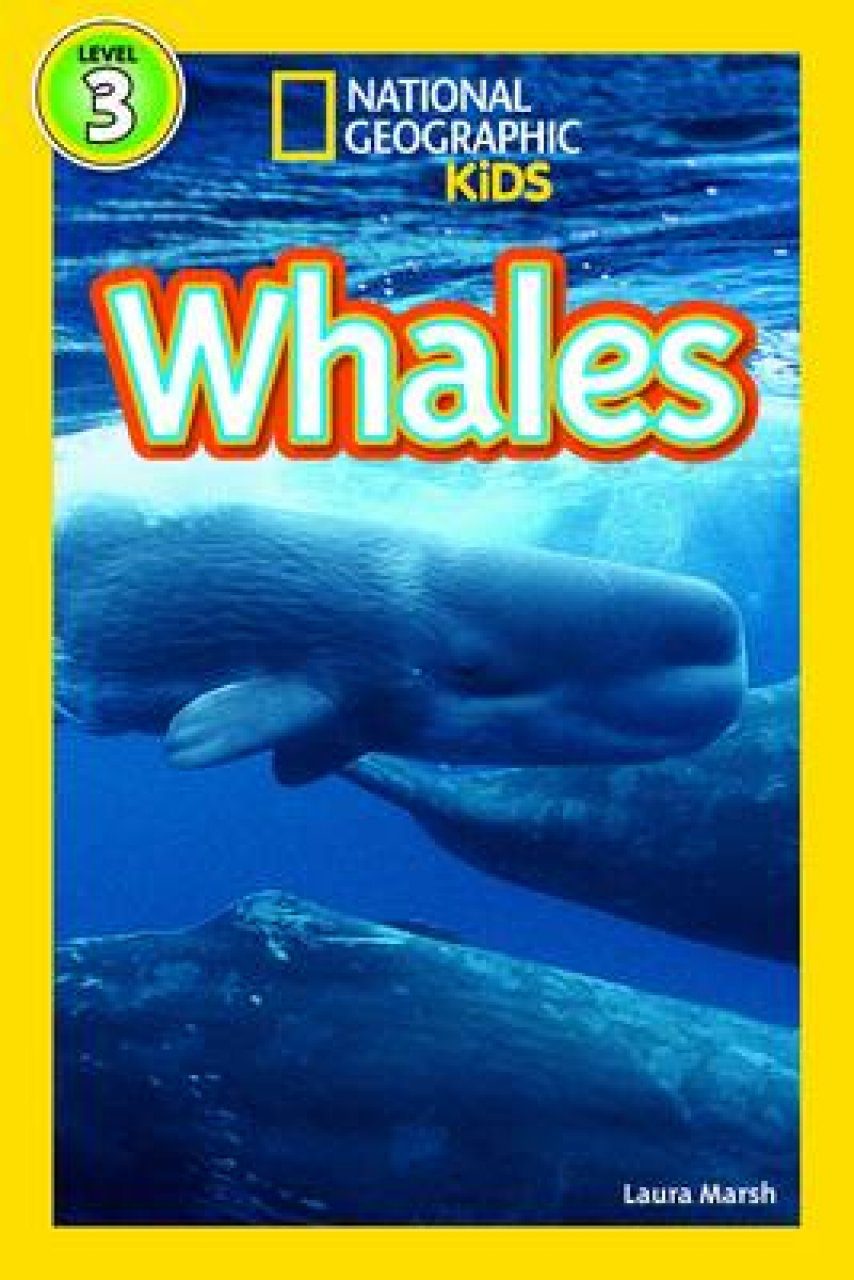 Whales | NHBS Academic & Professional Books