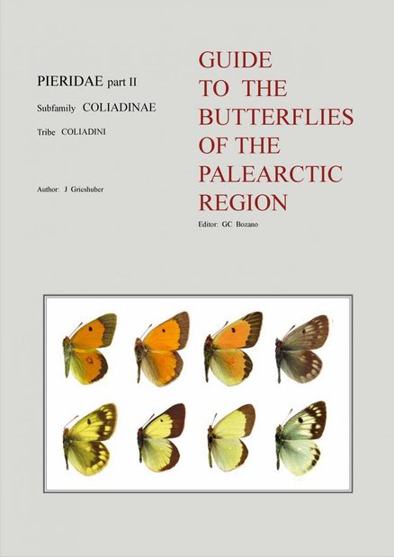 Pieridae Part 2 (Guide to the Butterflies of the Palearctic Region)