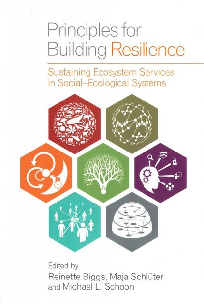 Principles for Building Resilience