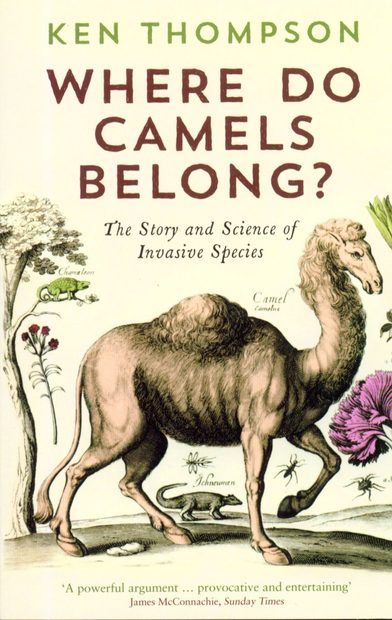 Where Do Camels Belong?