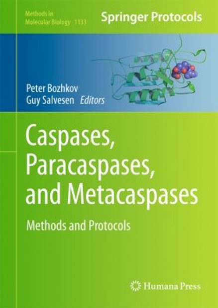 Caspases, Paracaspases, and Metacaspases