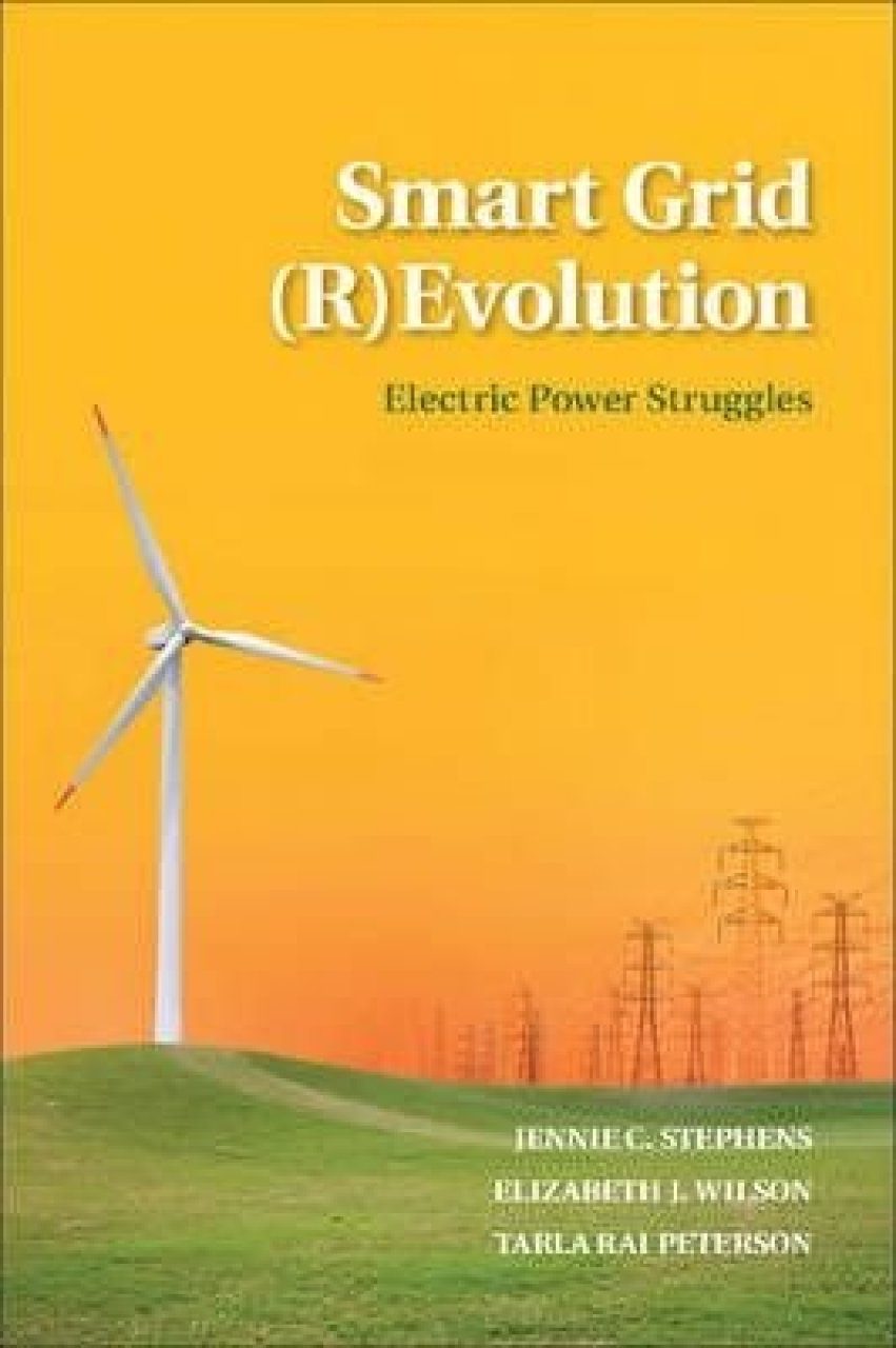 The Smart Grid (R)Evolution: Electric Power Struggles | NHBS Academic ...