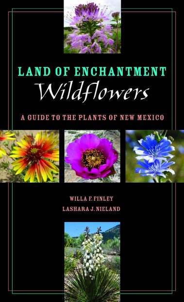Land of Enchantment Wildflowers