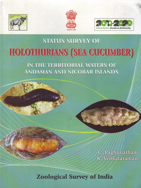 Status Survey of Holothurians (Sea Cucumber) in the Territorial Waters of Andaman and Nicobar Islands