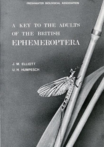 A Key to the Adults of the British Ephemeroptera