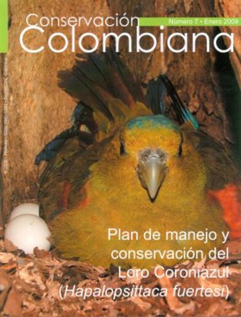 Conservación Colombiana 7: Plan de Manejo y Conservación del Loro Coroniazul (Hapalopsittaca fuertesi)