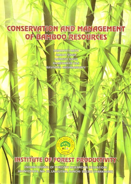 Conservation and Management of Bamboo Resources