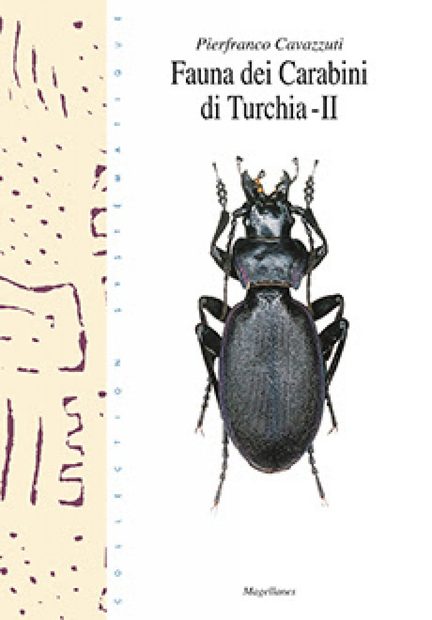 Fauna dei Carabini di Turchia - II [The Carabini Fauna of Turkey, Part 2]