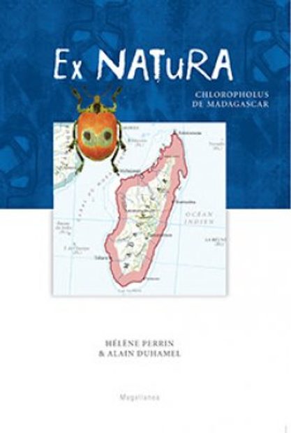 Chloropholus de Madagascar