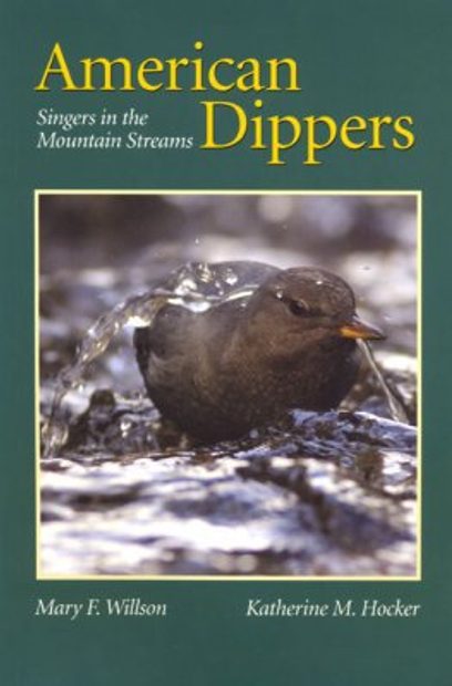American Dippers 