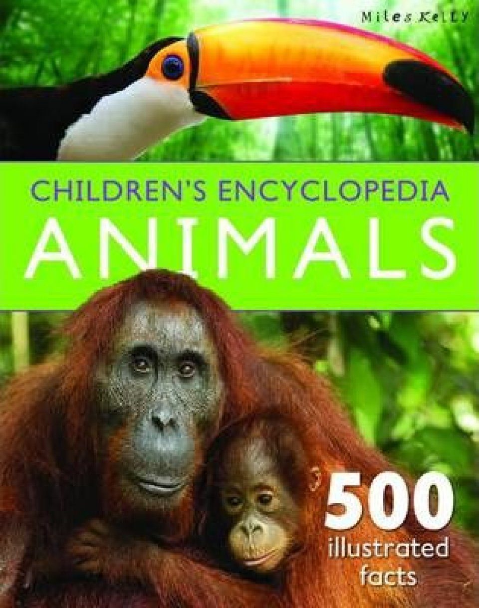 Jungle Animals - Animal Facts Encyclopedia