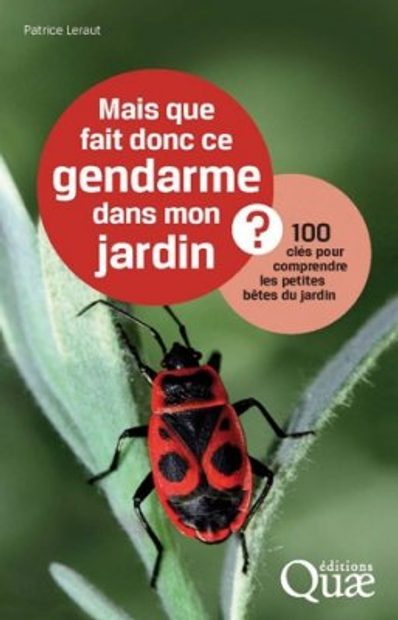 Mais que Fait donc ce Gendarme dans Mon Jardin?