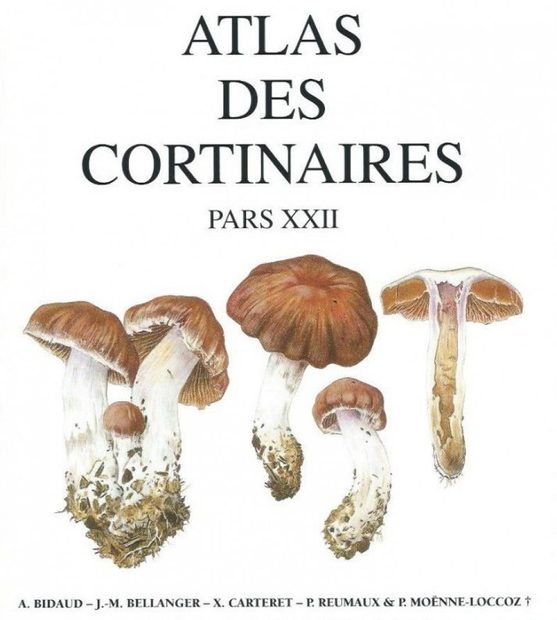 Atlas des Cortinaires, Pars 22