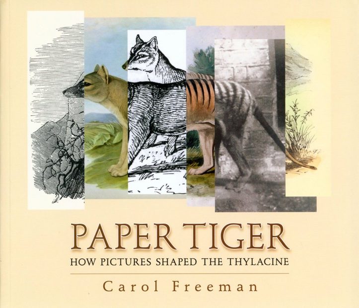 Paper Tiger