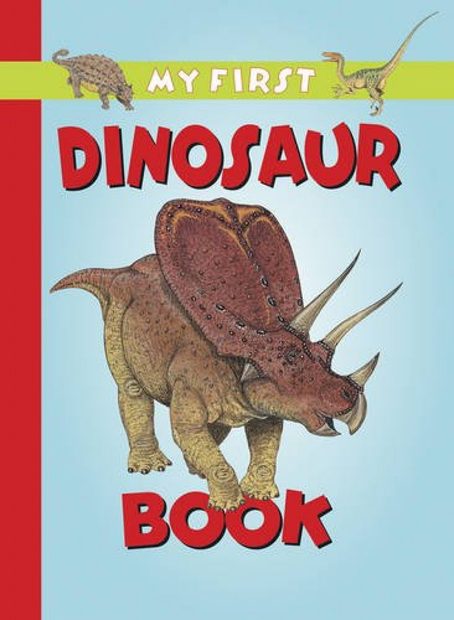 My First Dinosaur Book