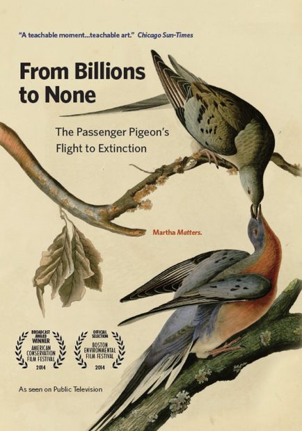 From Billions to None (All Regions)